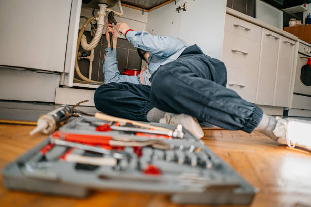 Best Emergency Plumbing Repair  in Crane, MO