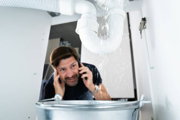Best Plumbing Inspection Services  in Crane, MO