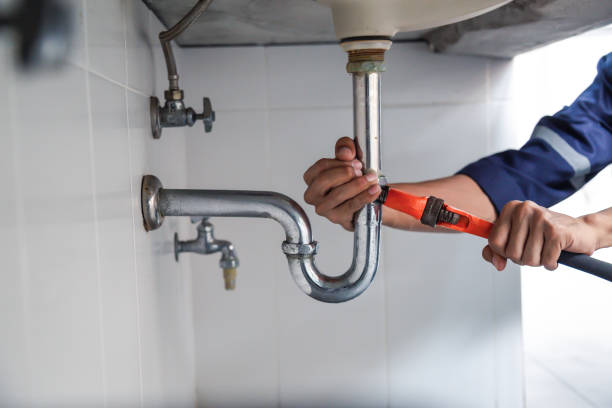 Best Plumbing Services Near Me  in Crane, MO