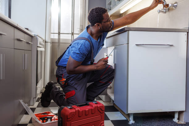 Best 24-Hour Plumber Near Me  in Crane, MO