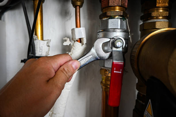 Best Hot Water Heater Installation  in Crane, MO